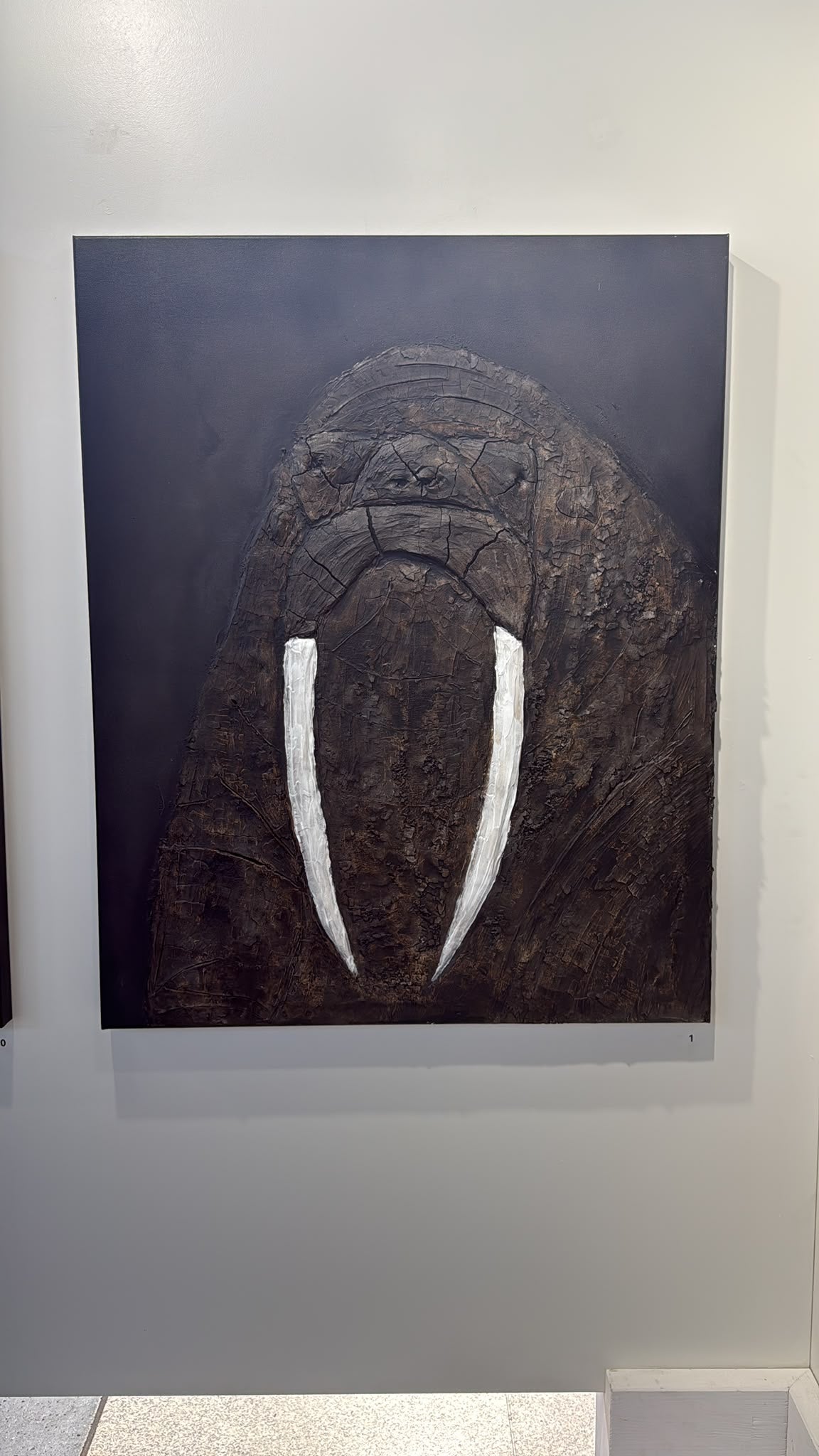 Walrus Wisdom in der Ausstellung